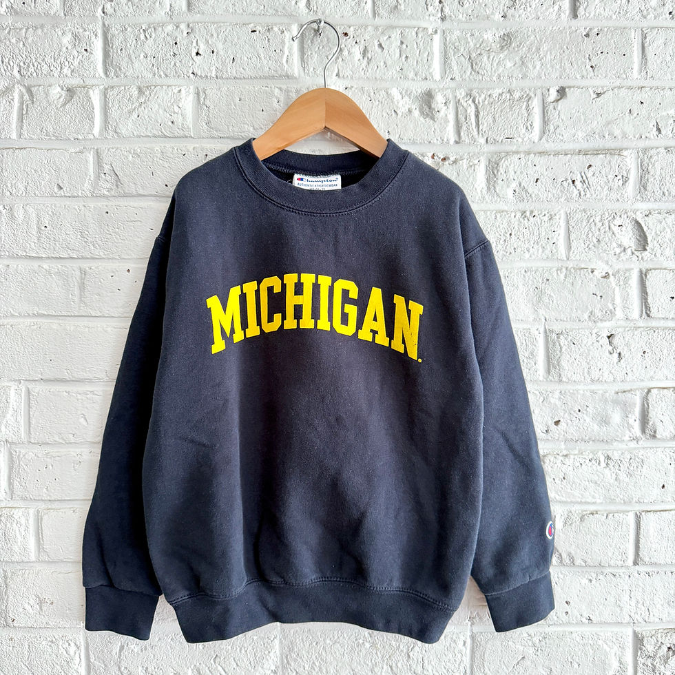 Thumbnail: Champion Michigan Pullover