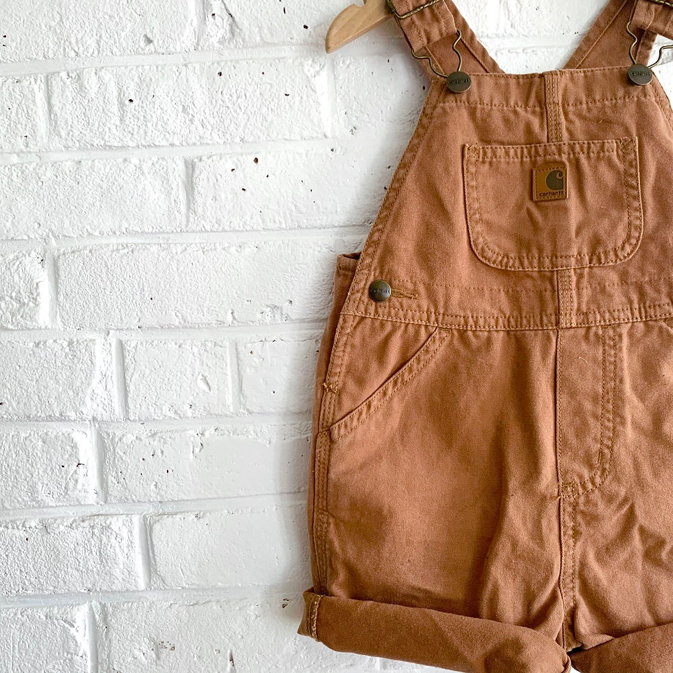Thumbnail: Carhartt Shortall