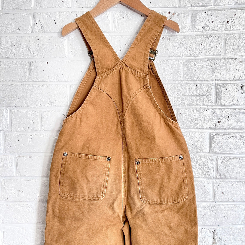 Thumbnail: Carhartt Bib Overall