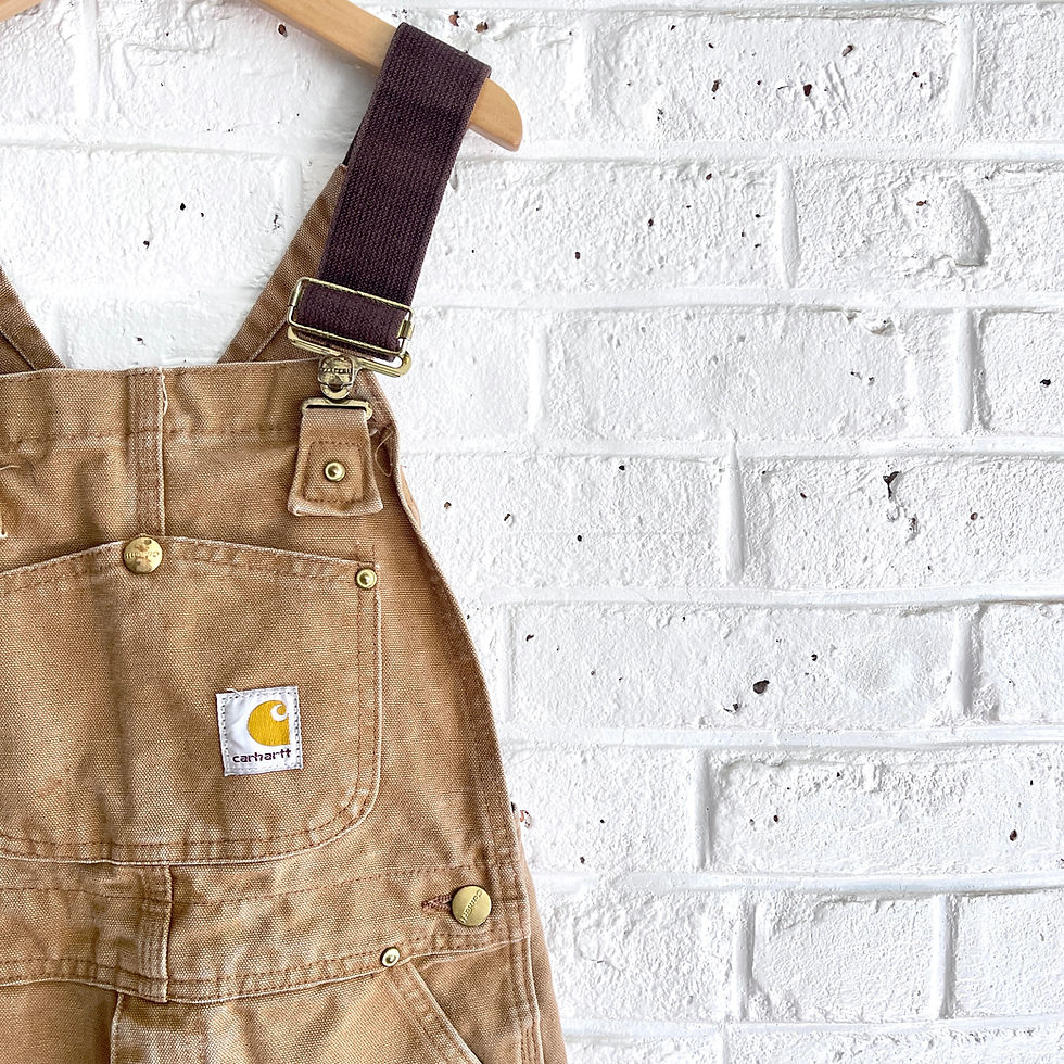 Thumbnail: '06 Distressed Broken-in Carhartt Overall