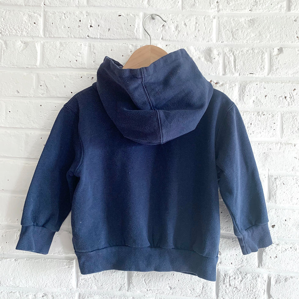 Thumbnail: Michigan Hoodie