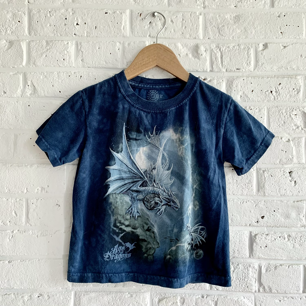 Thumbnail: The Mountain "Dragons" Tee