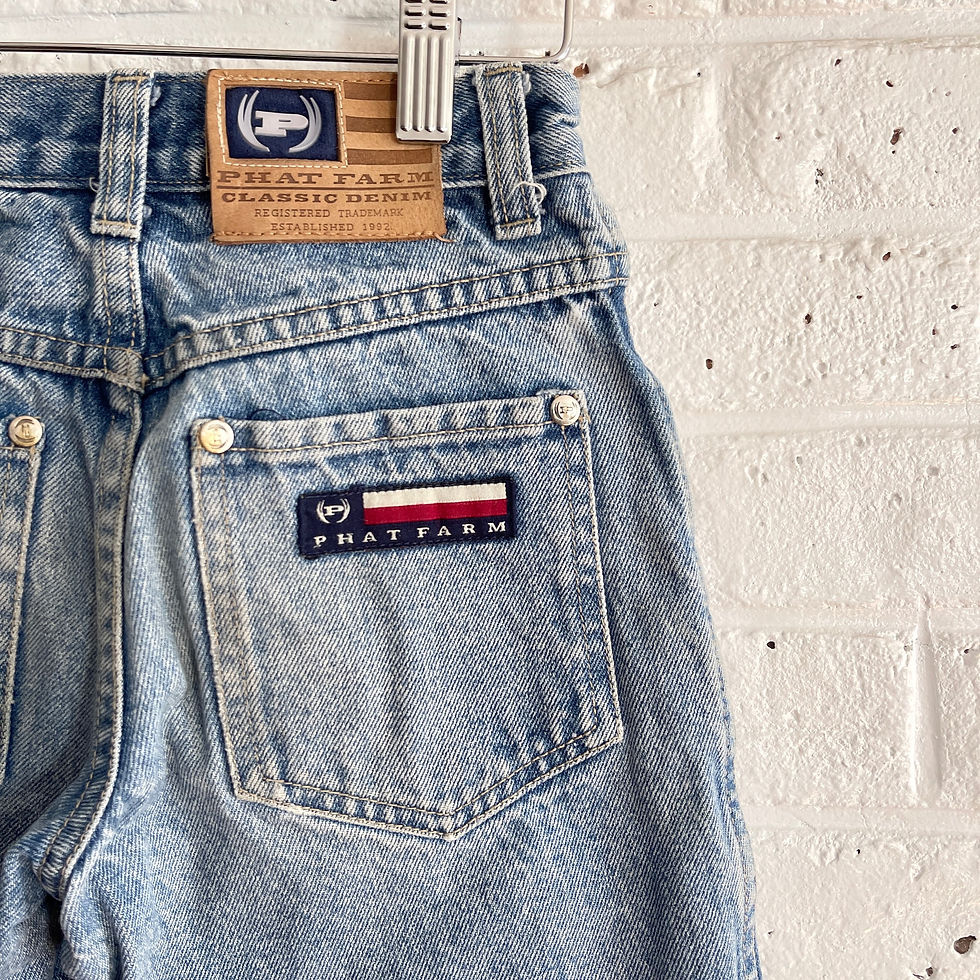 Thumbnail: Vintage Phat Farm Shorts