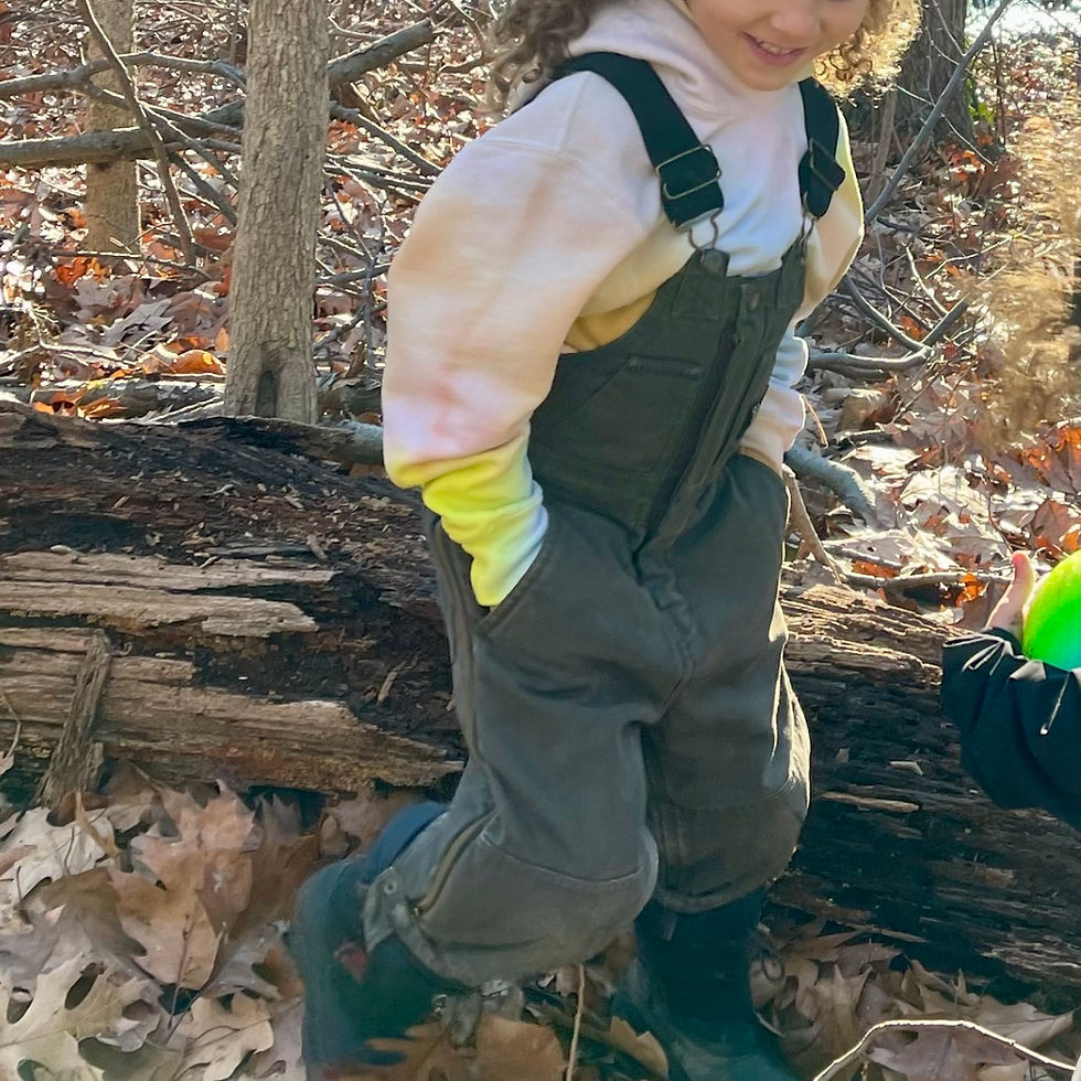 Thumbnail: Walls Insulated Bib Overall