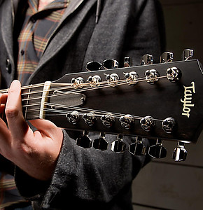 TaylorGuitars-player.jpg
