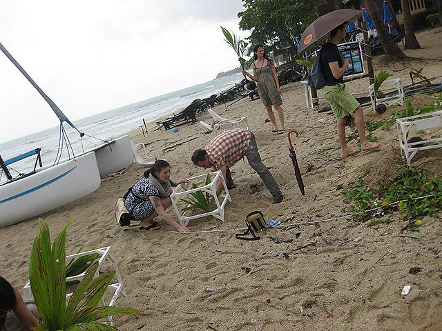 beach 2