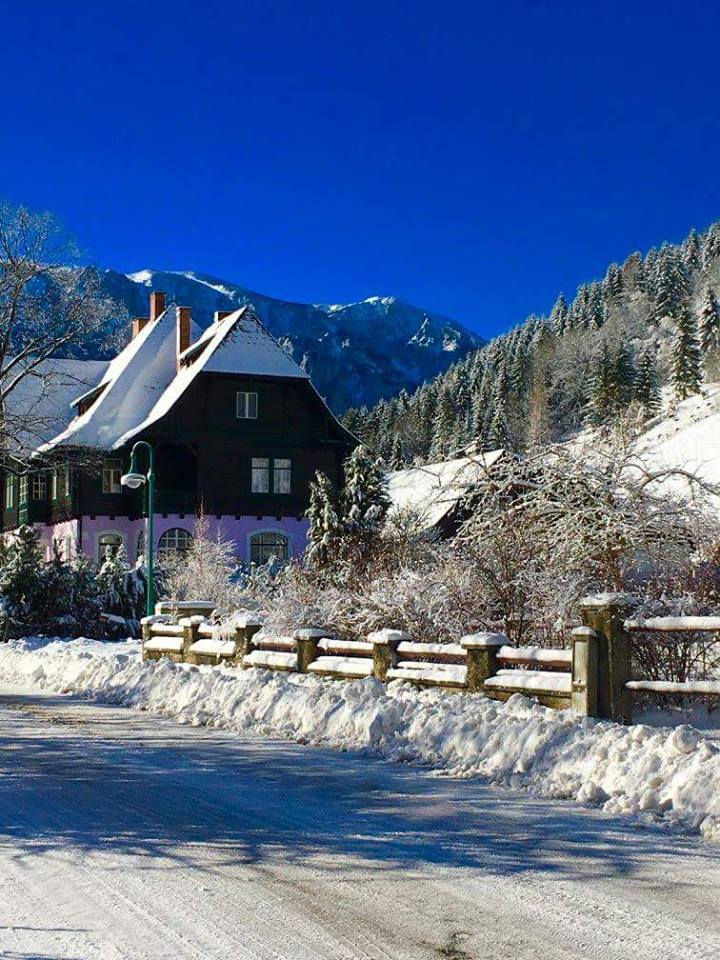 15894261_1792173374382663_2796482837419189914_n