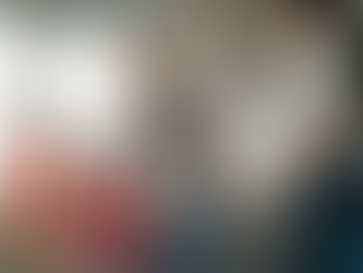 THE MIDDLE CLASS MIRAGE: A Guide to Understanding Modern Financial Fragility