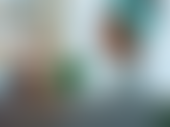 LIFE DESIGN MASTERY: A Guide to Strategic Personal and Professional Development