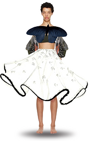 Screenshot 2025-08-15 at 2.41.14 PM.png