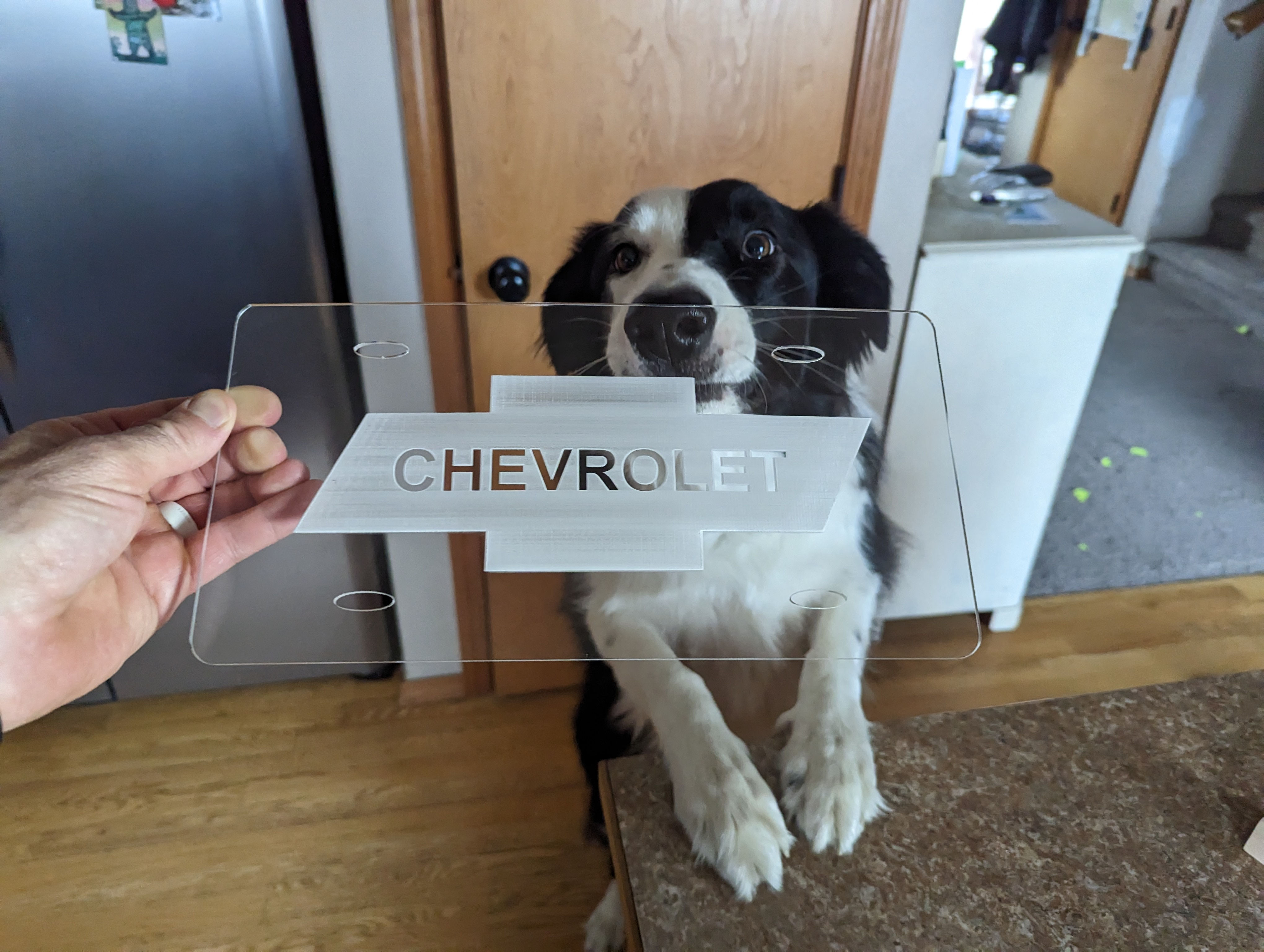 Acrylic Novelty Plates