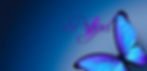Copy of Propel Background small_edited.jpg