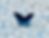 Homepage.png