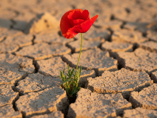 The Promise of Restoration Trusting God to Make All Things New