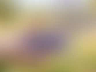 The Peace of Surrender Trusting God Beyond Understanding