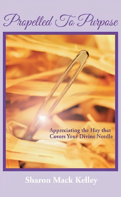 Propelled to Purpose: Appreciating the Hay That Covers Your Divine Needle