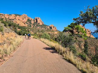 group of road cyclists Massif of Esterel