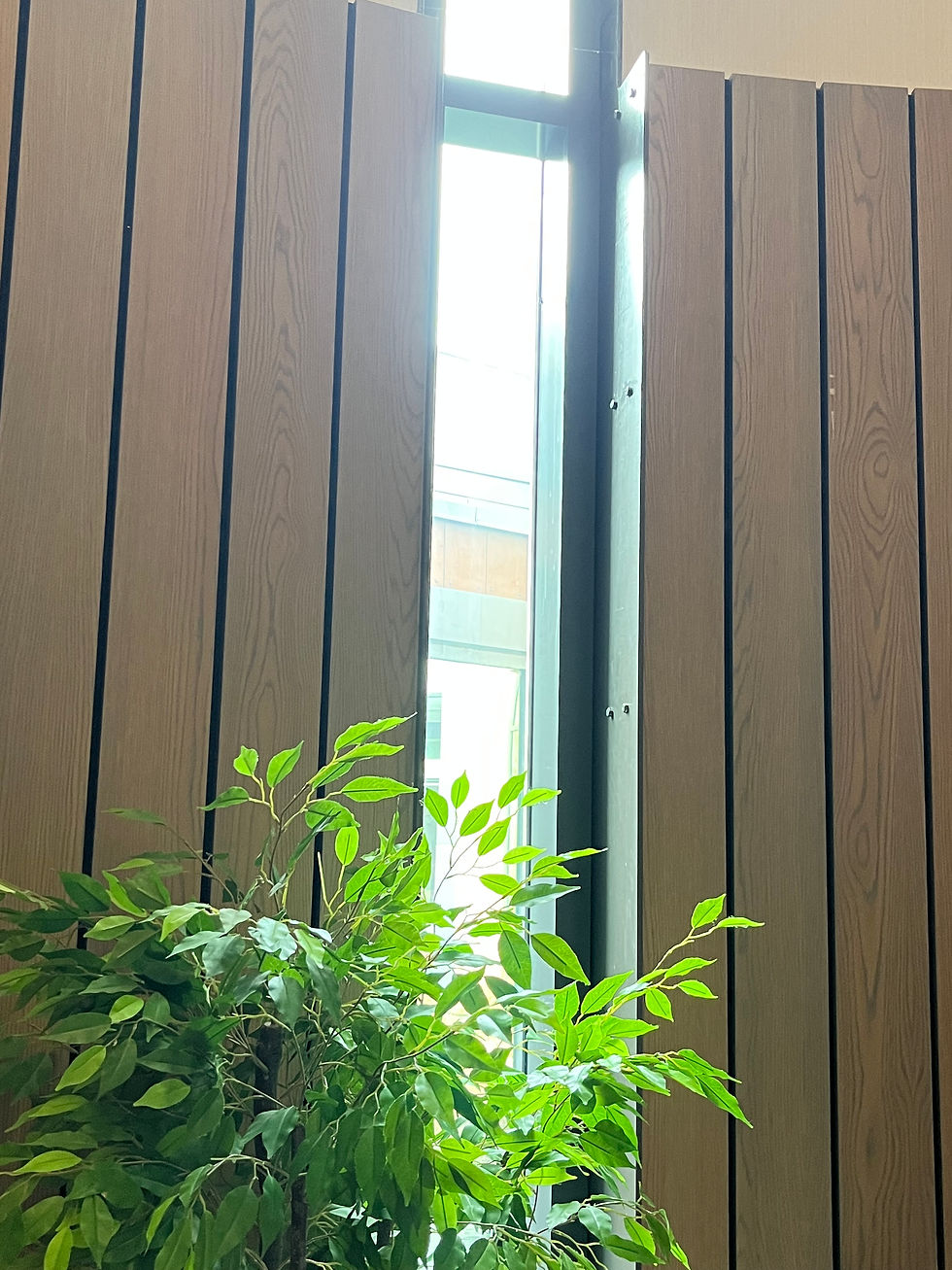 The window of the multi-faith chapel (the silo) at the heart of the facility is aligned on the summer solstice. It is a narrow window in a wood-panelled wall. A fig tree in a pot stands in front of it.