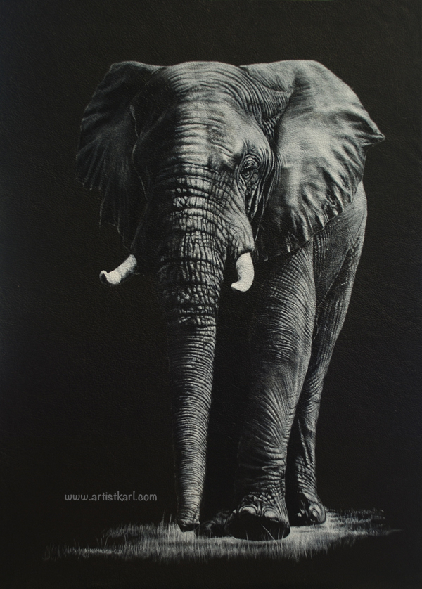 Henry - elephant