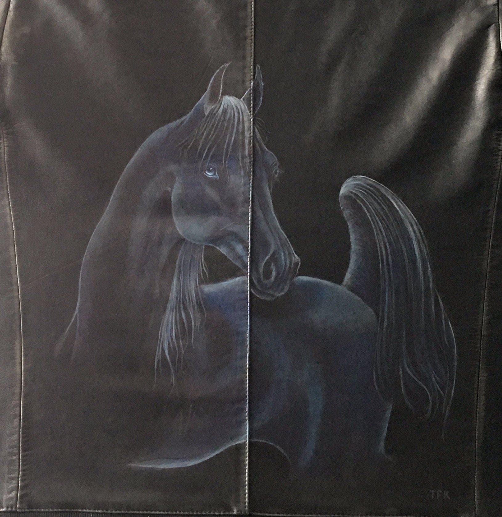 Arabian Horse