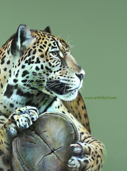Distraction - jaguar