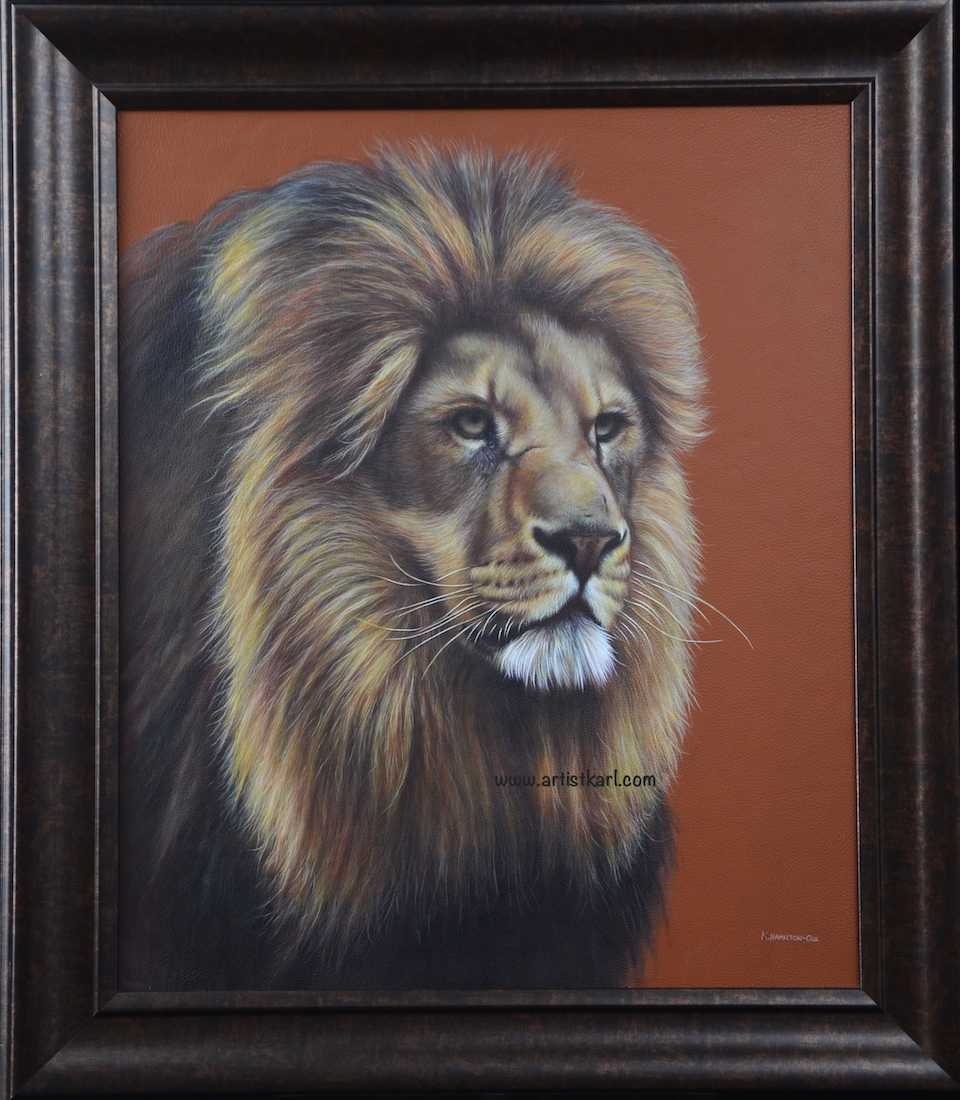 Majestic King - Lindy's Lion