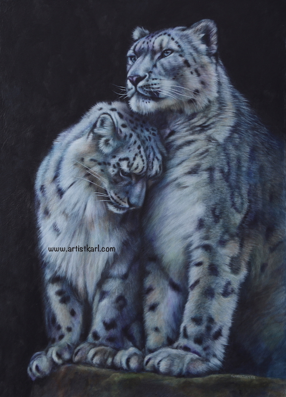Tenderness - snow leopards