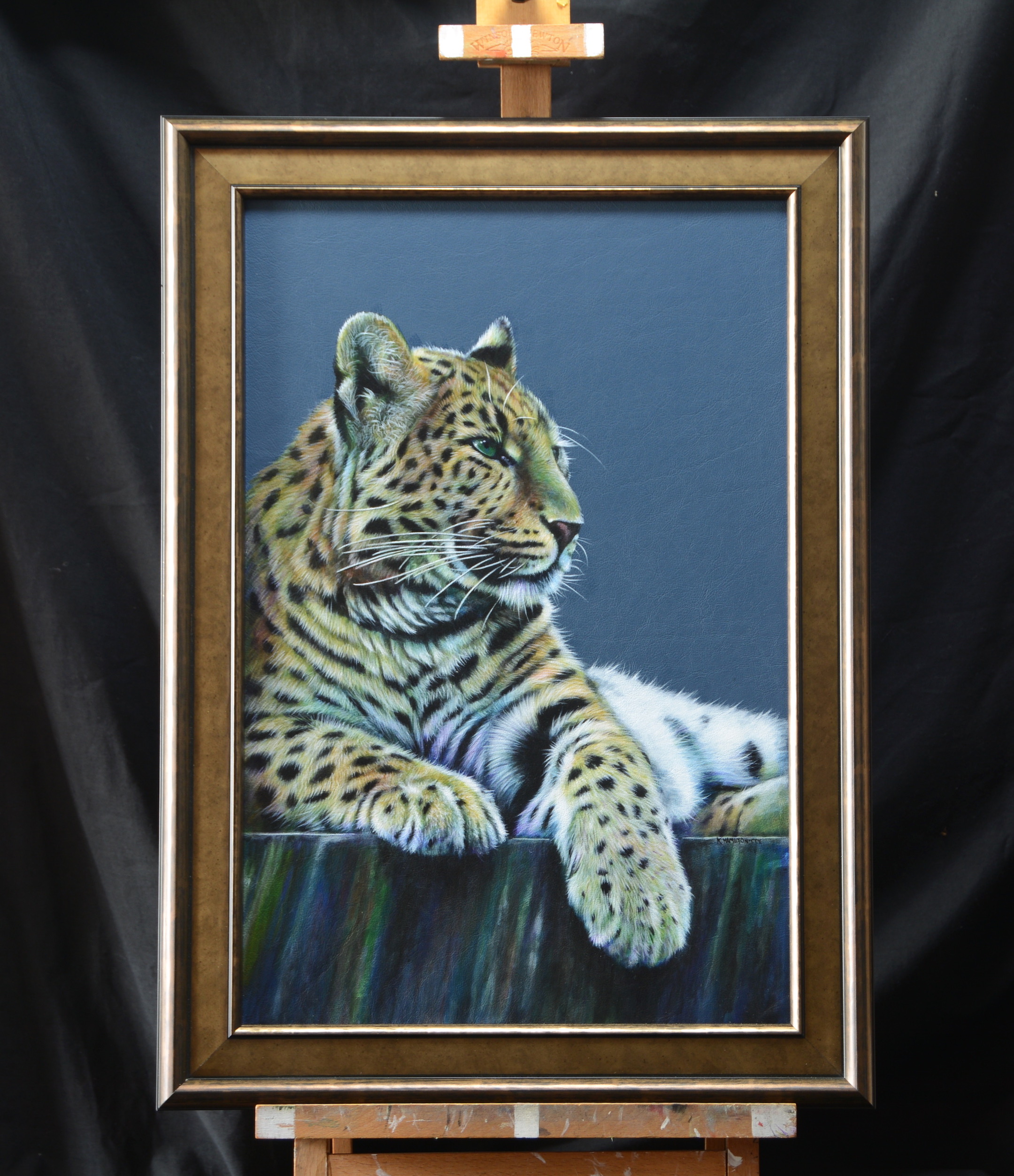 Relaxing Leopard