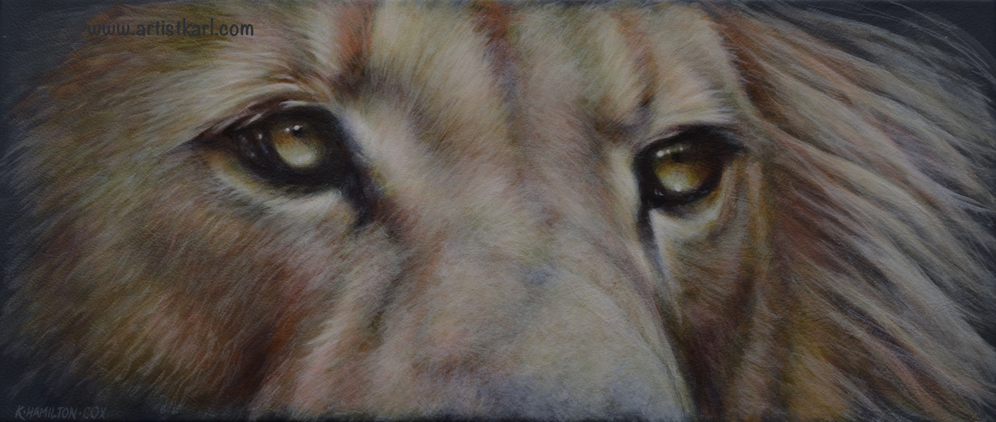 Cats Eyes Series - lion