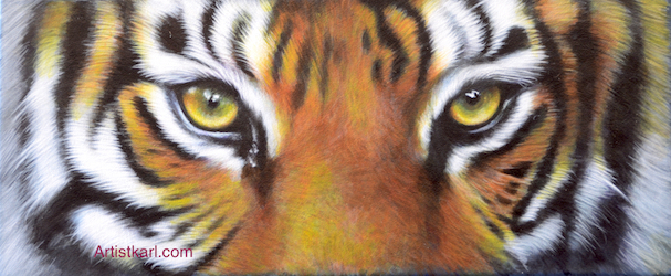 Cats Eyes Series