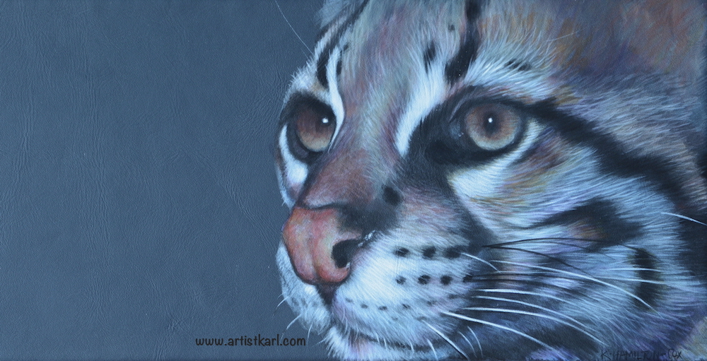 Cats Eyes Series - Ocelot