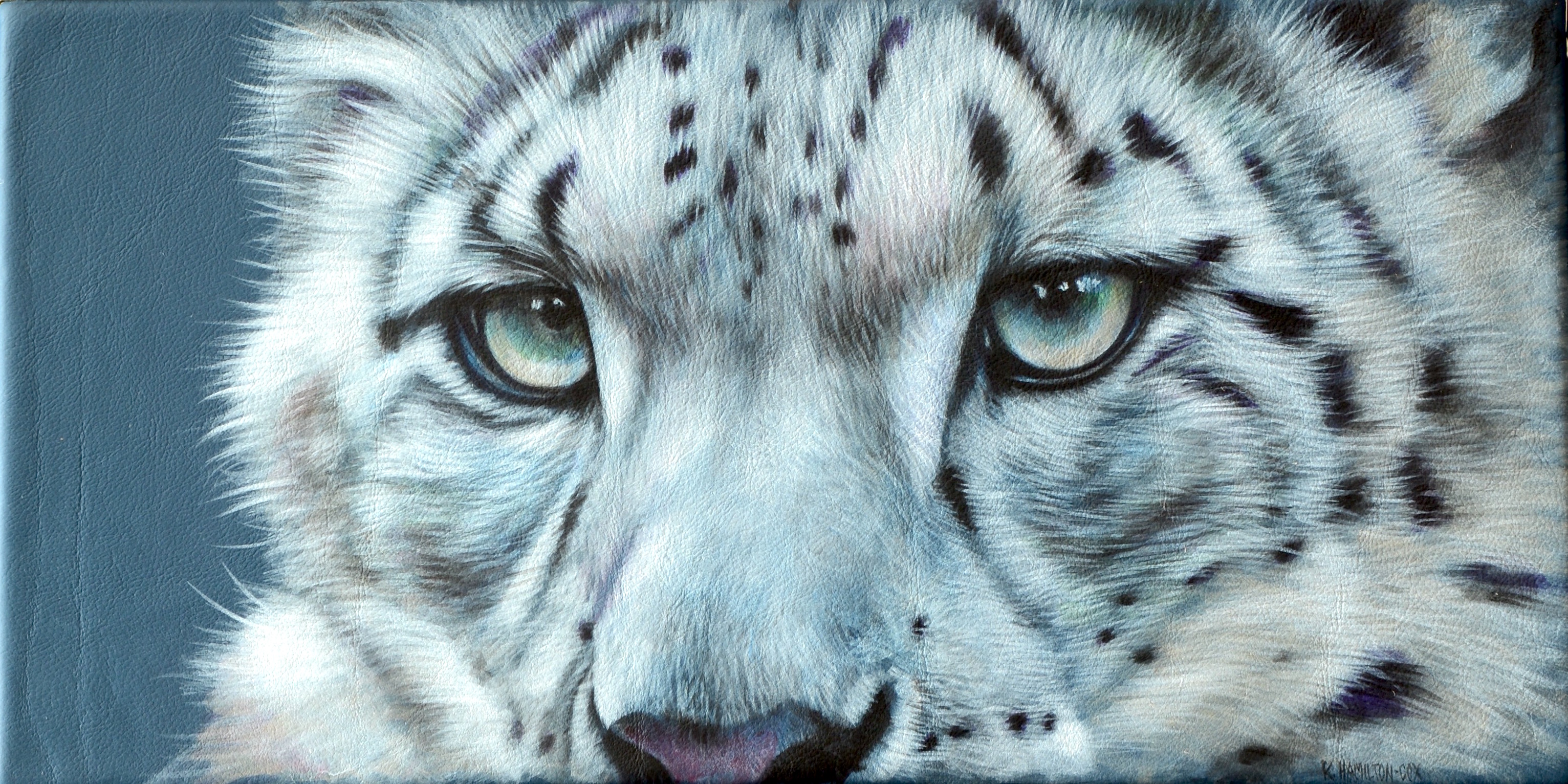 Cats Eyes Series - snow leopard
