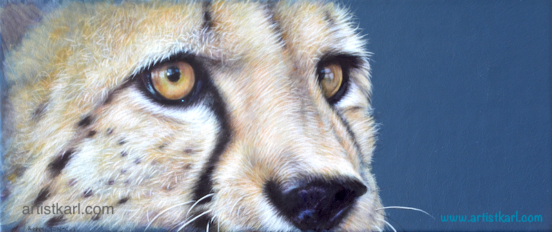 Cats Eyes Series - Cheetah