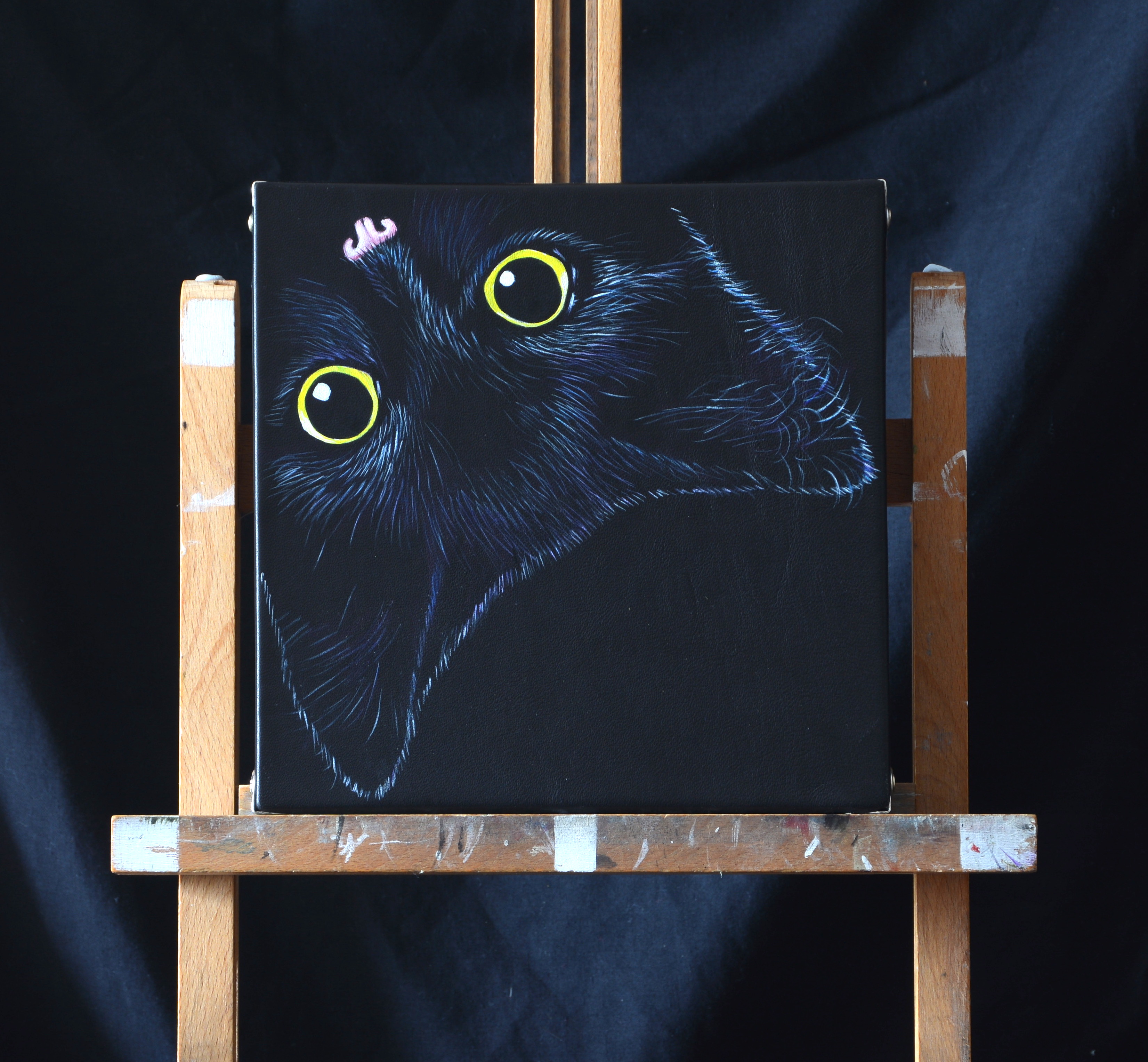 KittyCat Series