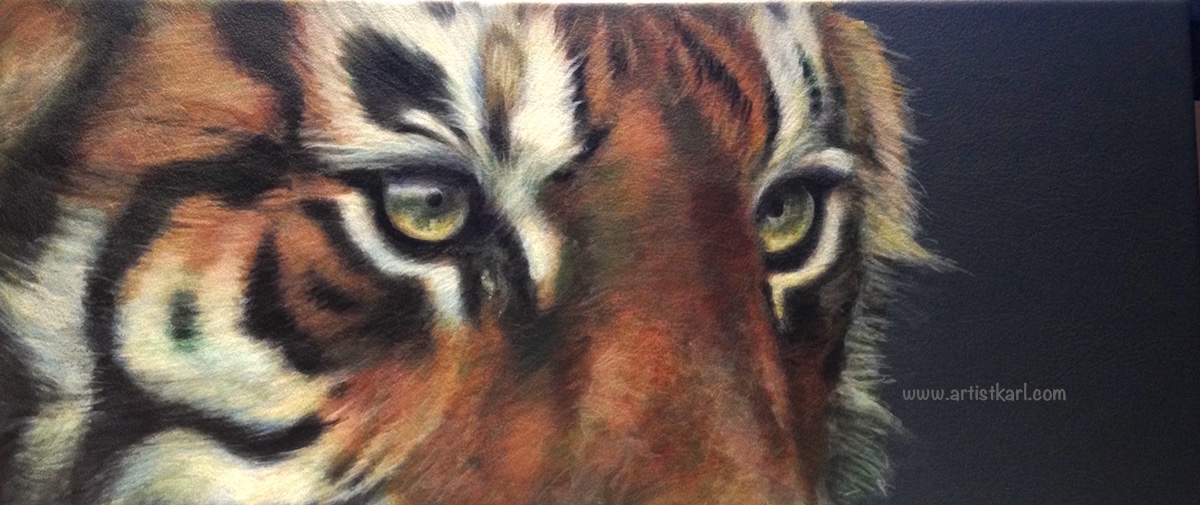 Cats Eyes Series