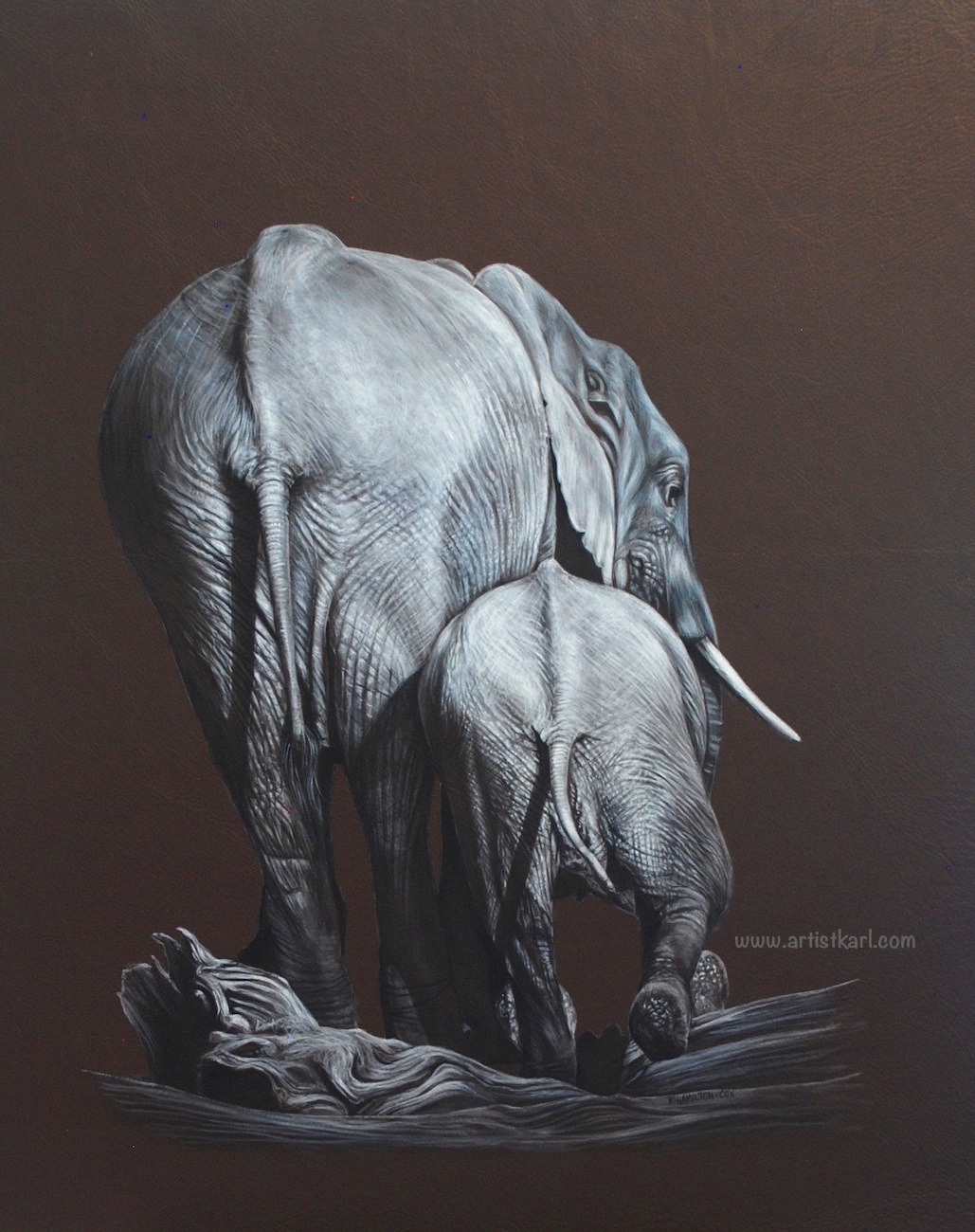Going Home - elephants