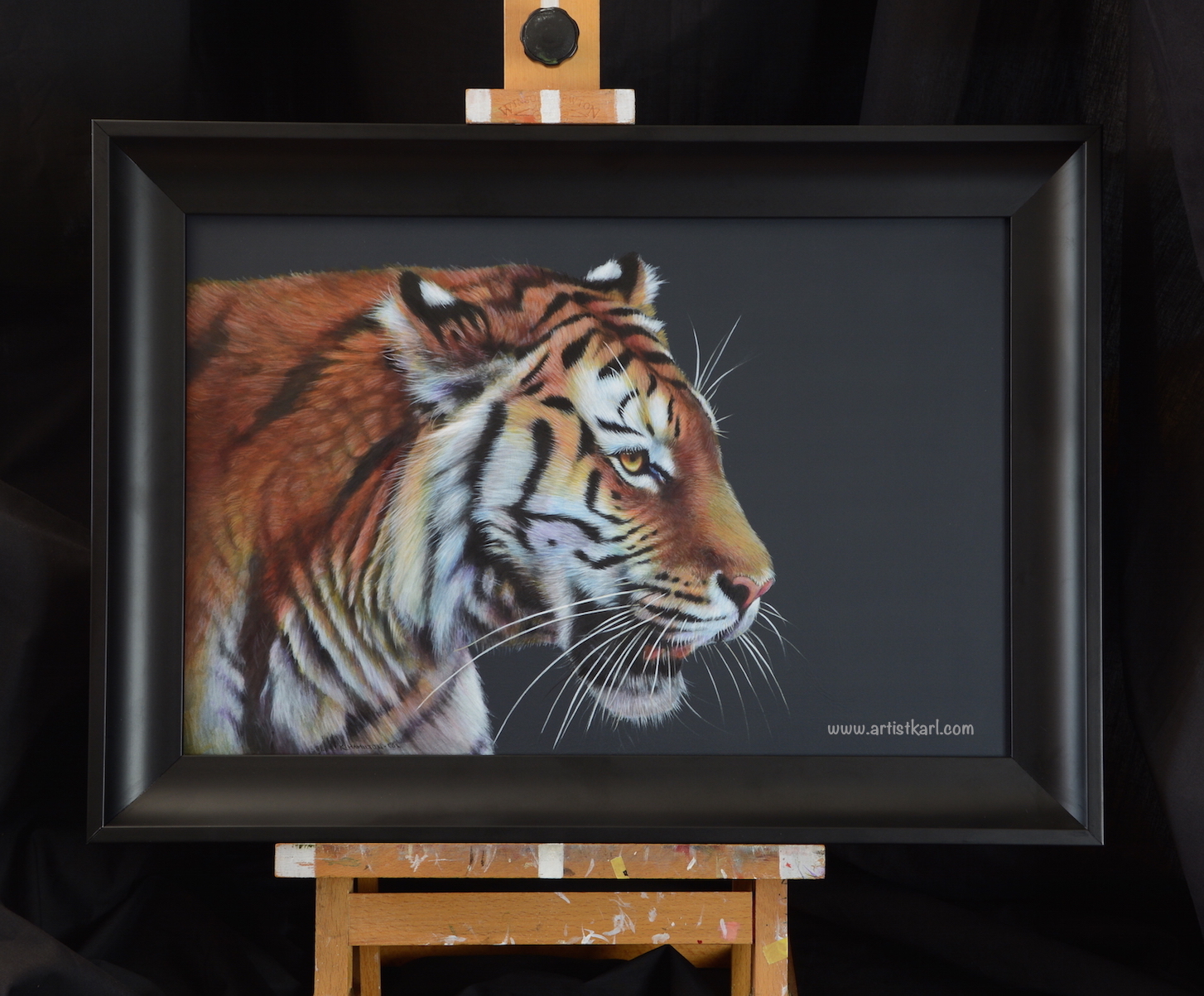 Beauty - tiger
