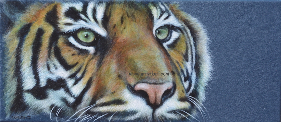 Cats Eyes Series