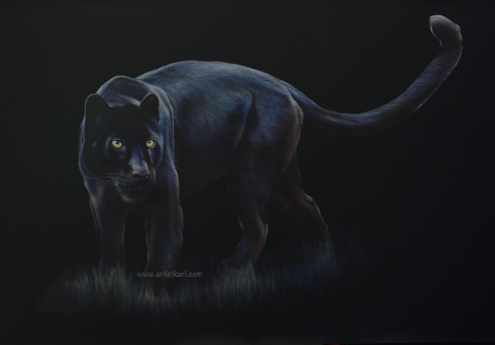 Night Hunter - black leopard