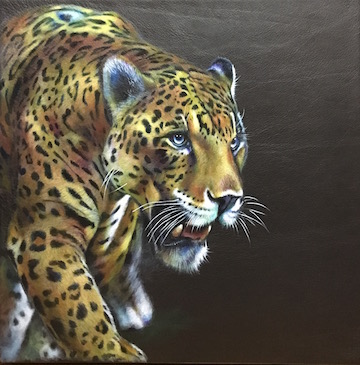 Focussed- jaguar