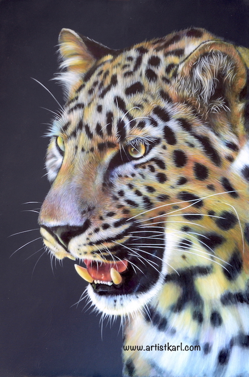 Leopard Portrait