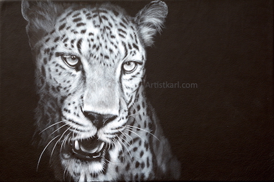 Night Shadow - leopard