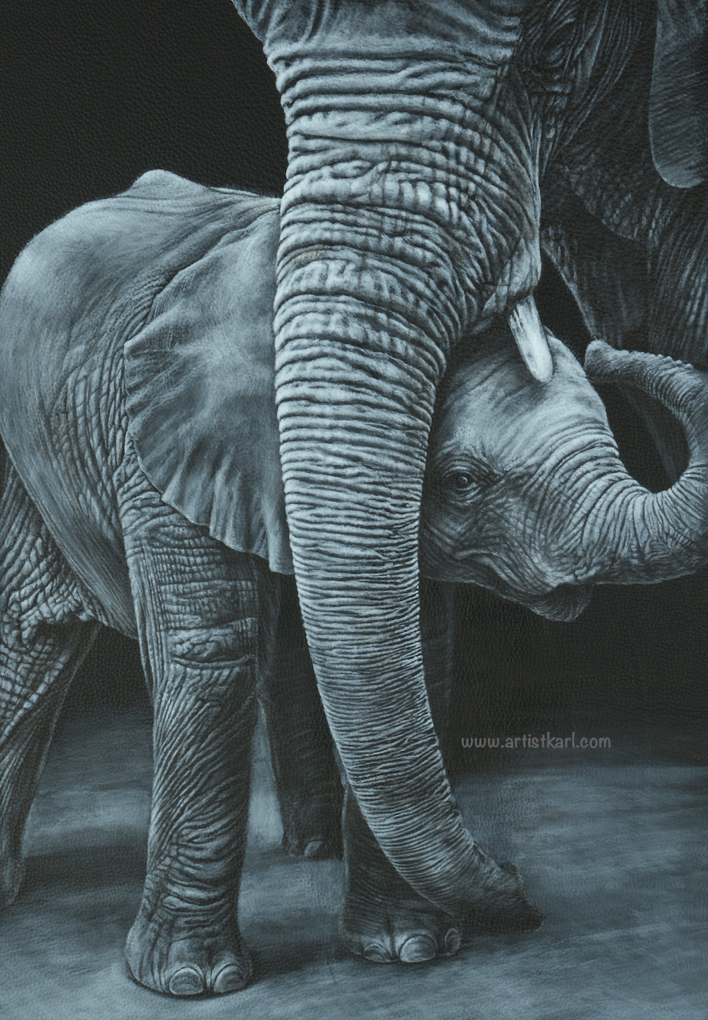 Pride & Joy - elephants