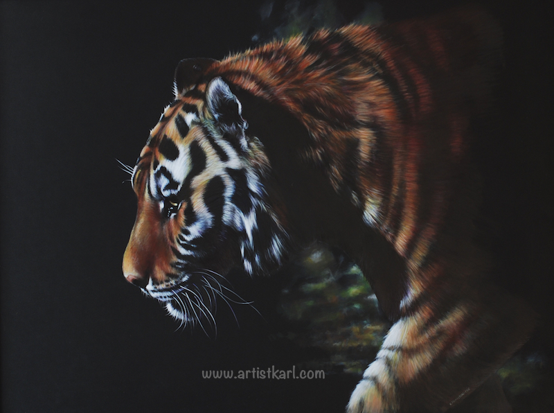Prowling Tiger