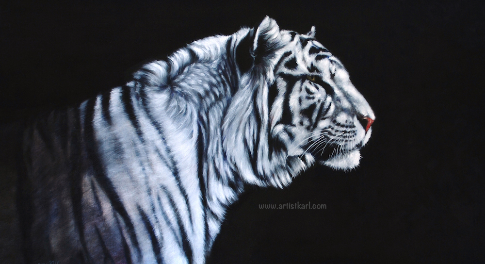 Moonlight Stroll - tiger