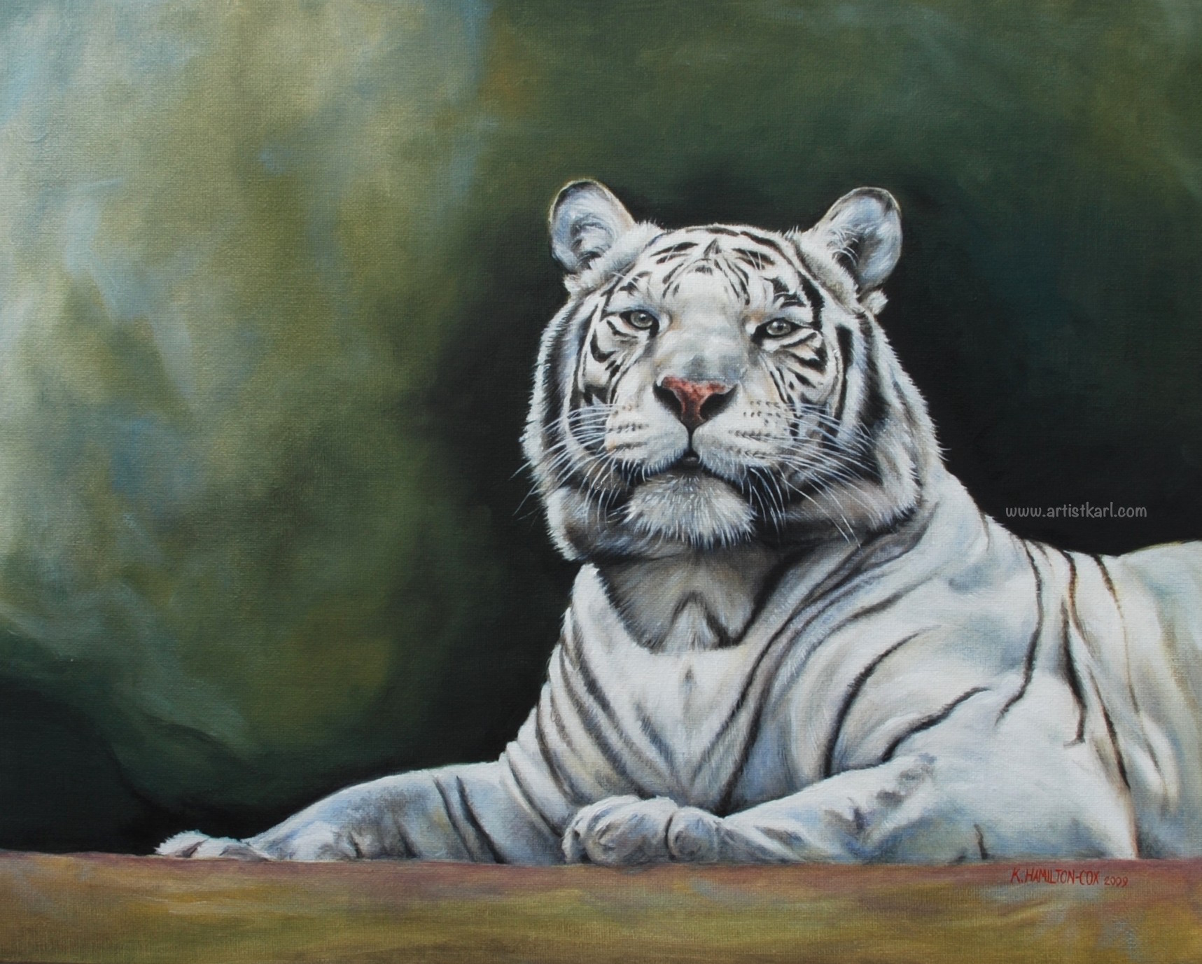 White Tiger portrait