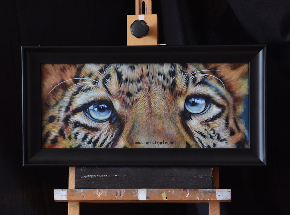 Cats Eyes Series - Leopard