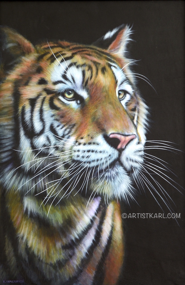 Yang - tiger