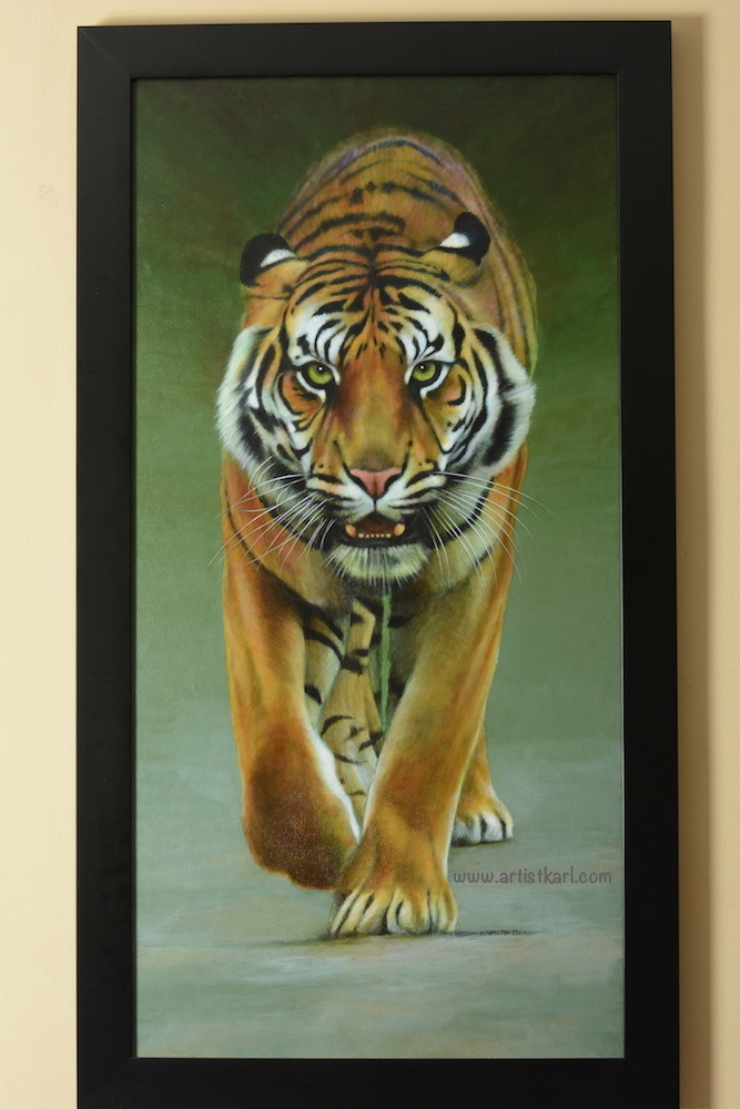 Coming At You - tiger
