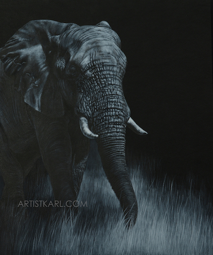 Twilight Stroll - elephant
